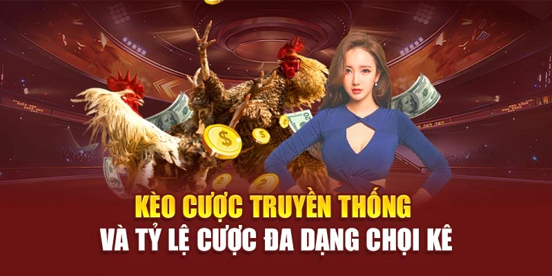 Kèo cược truyền thống và tỷ lệ cược đa dạng chọi kê